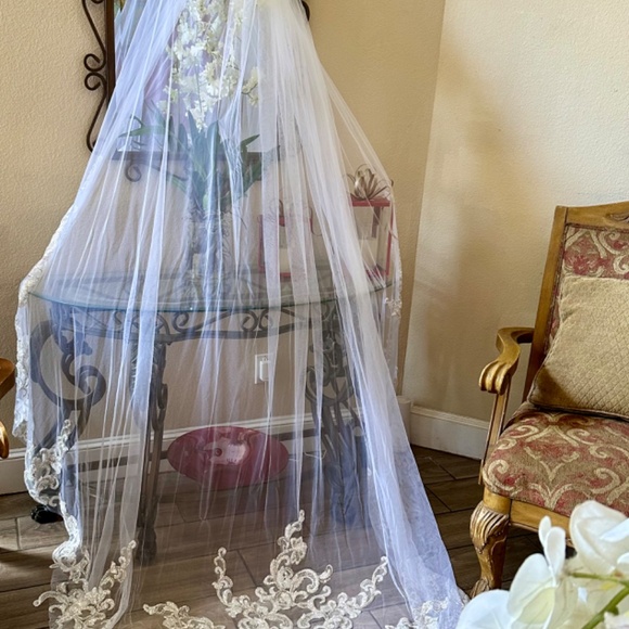 Beautiful bride veil main image 4